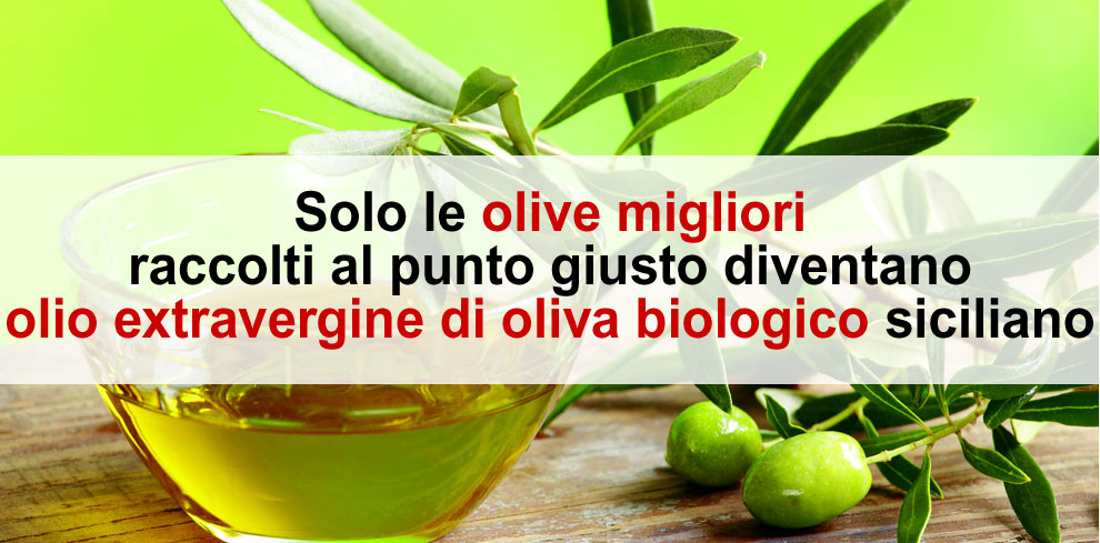 Distribuzione olio extra vergine di oliva biologico - Distributore Milano